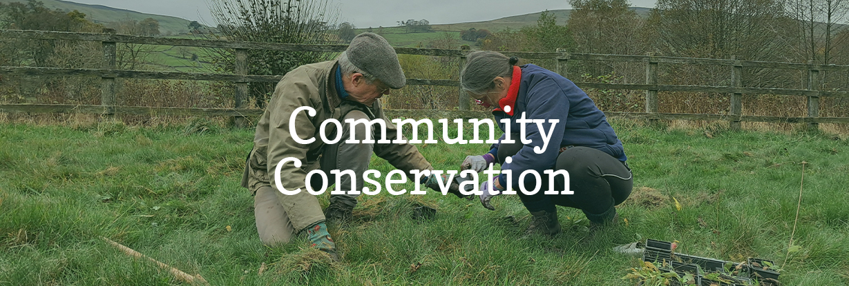 Community Conservation
